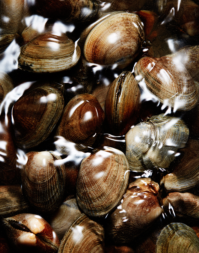 122420_Clams_009