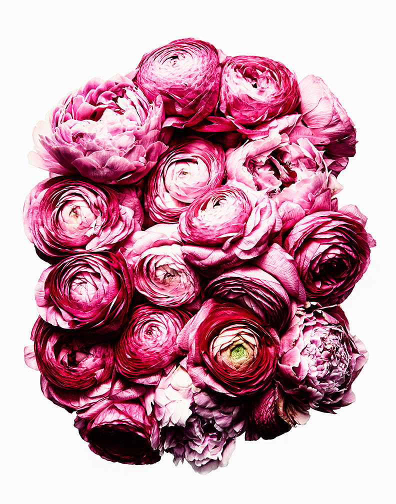May_Outlet_MothersDay_flowers_02